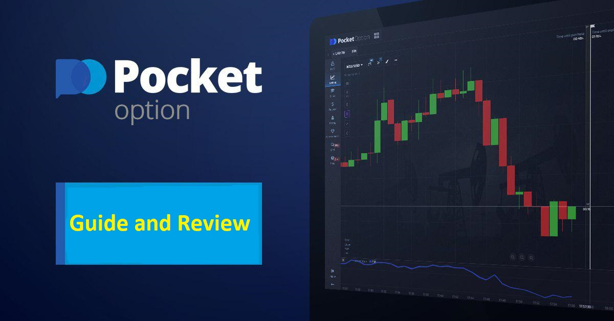 Discovering the Power of Social Trading on Pocket Option